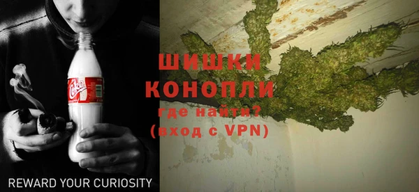 крисы Ельня