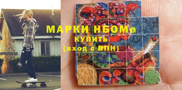 крисы Ельня