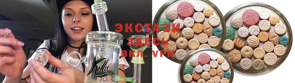 крисы Ельня
