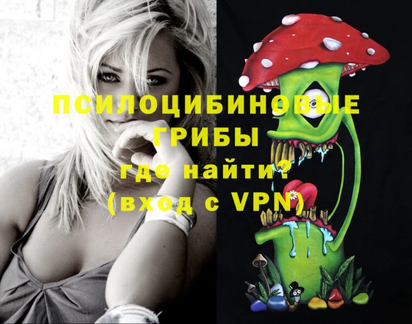 крисы Ельня