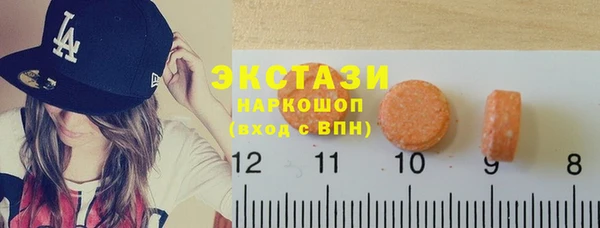 крисы Ельня