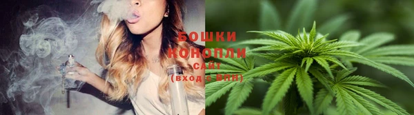 ECSTASY Елабуга