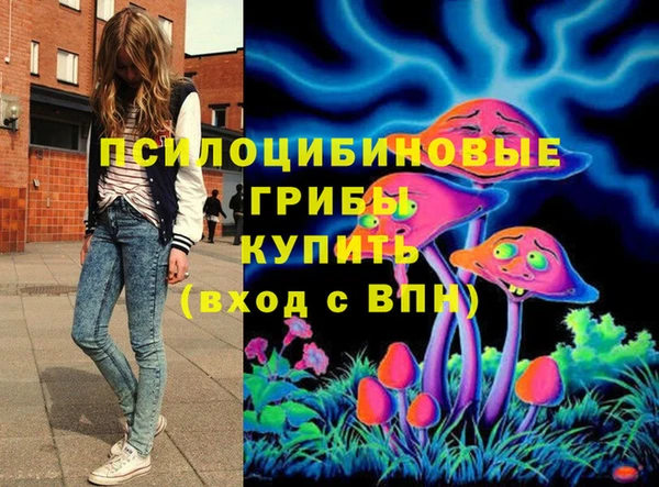 ECSTASY Елабуга