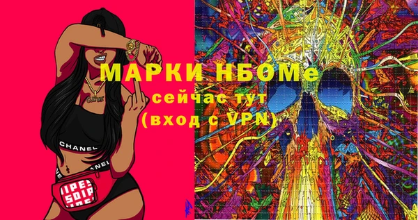 крисы Ельня