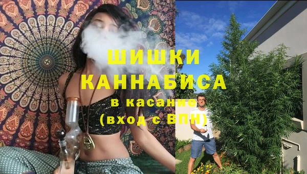 крисы Ельня