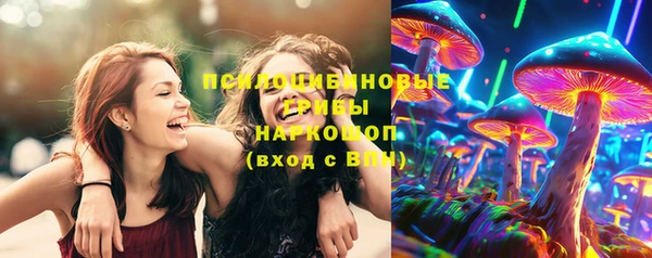 крисы Ельня