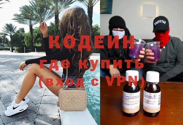 крисы Ельня