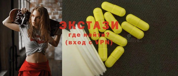 крисы Ельня