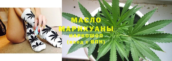 крисы Ельня