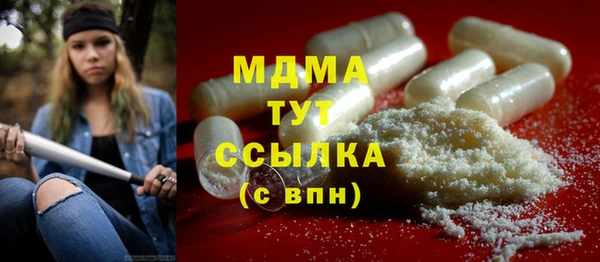 крисы Ельня