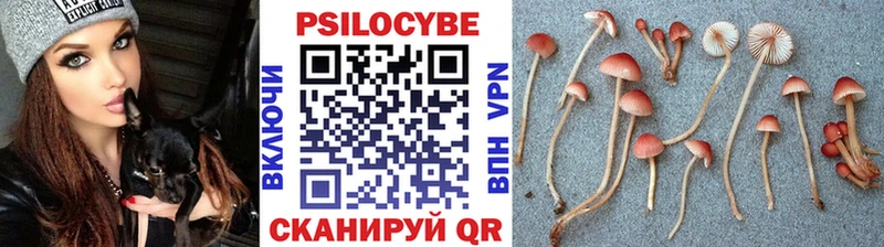 сколько стоит  Крым  hydra ССЫЛКА  Псилоцибиновые грибы ЛСД 